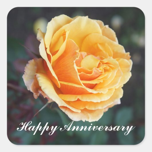Happy Anniversary About Face Rose #3 Stickers (Vorderseite)