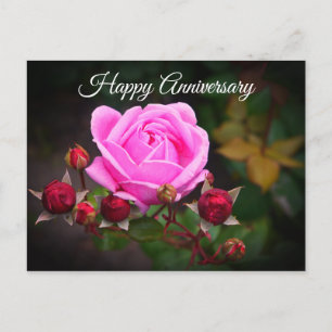 Happy Anniversary Bischofsburg Rose #1 Postkarte