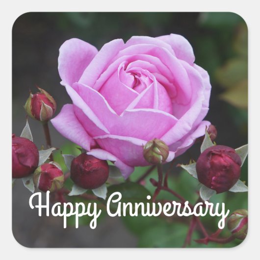 Happy Anniversary Bischofsburg Rose #1 Stickers (Vorderseite)