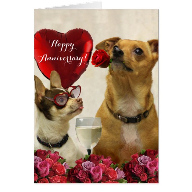 Happy Anniversary chihuahua Hundekarte (Vorne)