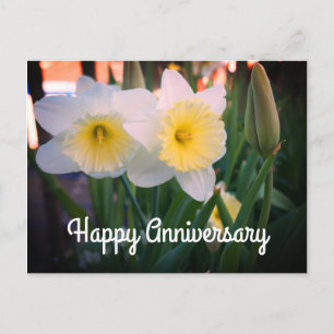 Happy Anniversary Daffodil Postcard Postkarte