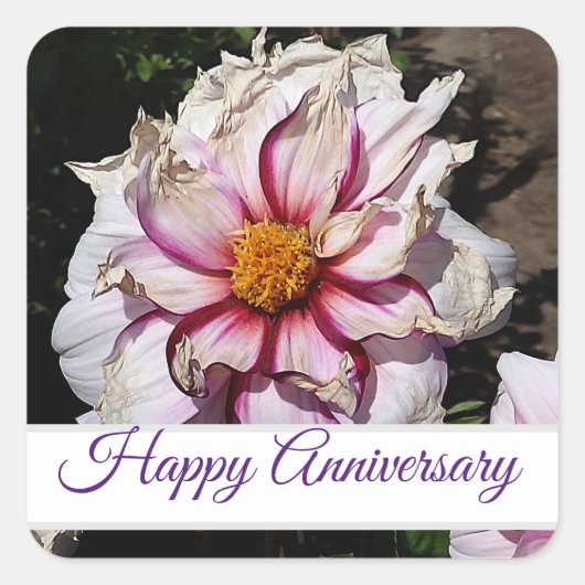 Happy Anniversary Dahlia Edge of Joy #1 Stickers (Vorderseite)