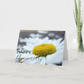 "Happy Anniversary" Daisies Card Karte (Vorderseite)