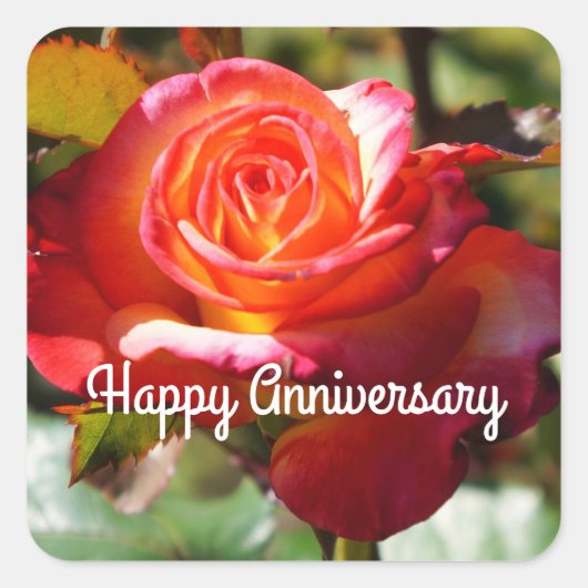 Happy Anniversary Dream Come True Rose #2 Aufklebe Quadratischer Aufkleber (Vorderseite)