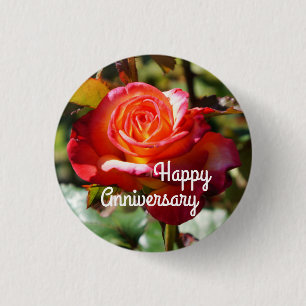 Happy Anniversary Dream Come True Rose #2 - Schalt Button