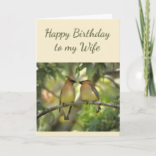 Happy Anniversary Ehefrau Birds in Liebe Fun Card Karte
