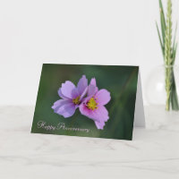 Happy Anniversary Garden Cards von Janz