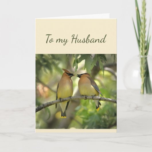 Happy Anniversary Husband Birds in Liebe Fun Card Karte (Vorderseite)