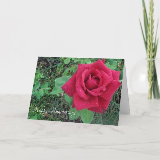 Happy Anniversary Liebe Rote Rose Raindrops Card Karte (Vorderseite)