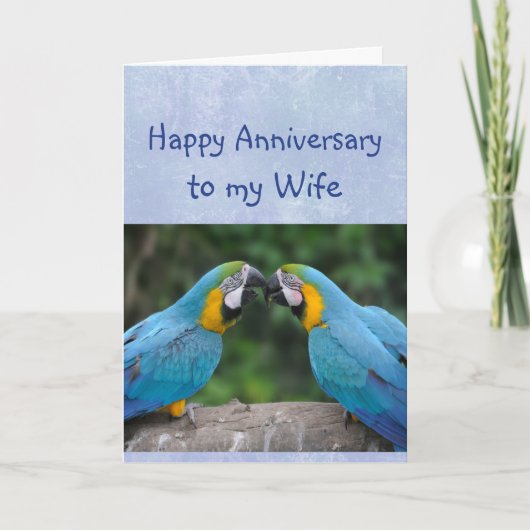 Happy Anniversary Parrot Wife Love Card Karte (Vorderseite)