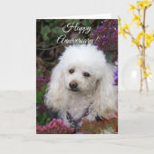 Happy Anniversary Poodle Hundekarte Karte (Gelbe Blume)