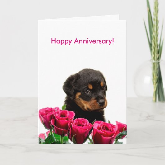 Happy Anniversary Rose Rottweiler Puppy Karte (Vorderseite)