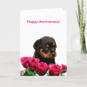 Happy Anniversary Rose Rottweiler Puppy Karte