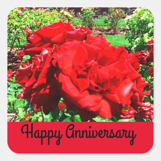 Happy Anniversary Rote Rose #1 Stickers (Vorderseite)