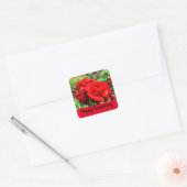 Happy Anniversary Rote Rose #1 Stickers (Umschlag)