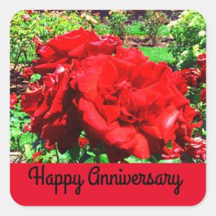 Happy Anniversary Rote Rose #1 Stickers
