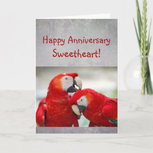 Happy Anniversary Sweetheart Parrot Paar Love Karte