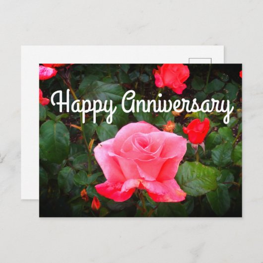 Happy Anniversary Touch der Class Rose #1 Postcard Postkarte (Vorne/Hinten)