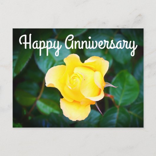 Happy Anniversary Walking auf Sunshine Rose #1 Postkarte (Vorderseite)