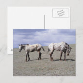 Happy Appys Postkarte (Vorne/Hinten)