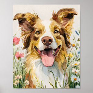 Happy Australian Shepherd in Blume - Wasserfarbe Poster