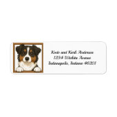 Happy Australian Shepherd Return Address Label (Vorne)