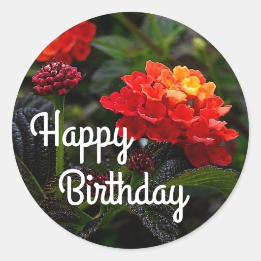 Happy Bday Orange Red Trailing Lantana #1-2 Runder Aufkleber (Vorderseite)