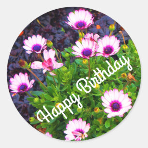 Happy Bday White & Lila African Daisy#1 Stickers