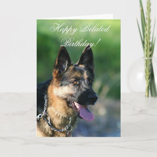 Happy Belated Birthday German Shepherd card Karte (Vorderseite)