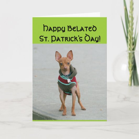 Happy Belated St Patrick's Day Chihuahua Karte (Vorderseite)