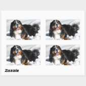 Happy Bernese Mountain Hund im Winter Schnee Rechteckiger Aufkleber (Blatt)