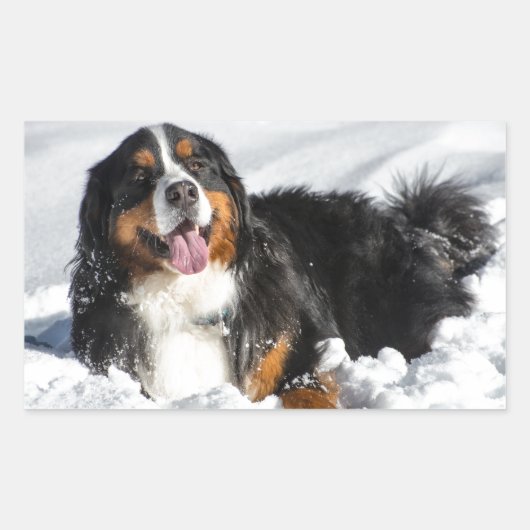 Happy Bernese Mountain Hund im Winter Schnee Rechteckiger Aufkleber (Vorderseite)