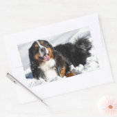 Happy Bernese Mountain Hund im Winter Schnee Rechteckiger Aufkleber (Umschlag)