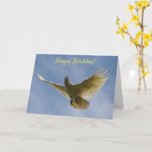 Happy Bird Day Birthday Cockatoo Flying Australia Karte