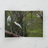 Happy Bird Day Funny Cockatoo Geburtstag Karte (Innenseite)