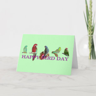 Happy Bird Day Karte