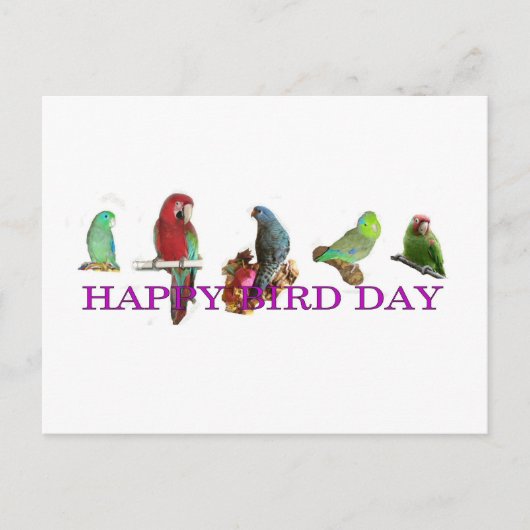 Happy Bird Day Postkarte (Vorderseite)