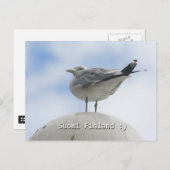 Happy Bird Postkarte (Vorne/Hinten)