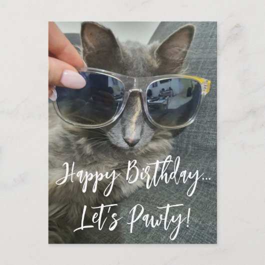 "Happy Birday Let's pawty" lustiges Kätzchen-Foto Postkarte (Vorderseite)