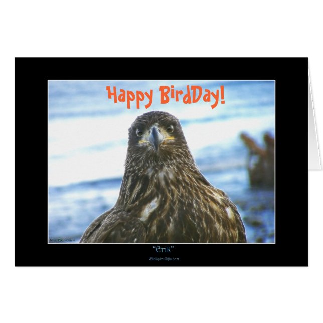 Happy BirdDay! Bald Eagle Grußkarte (Vorderseite (Horizontal))
