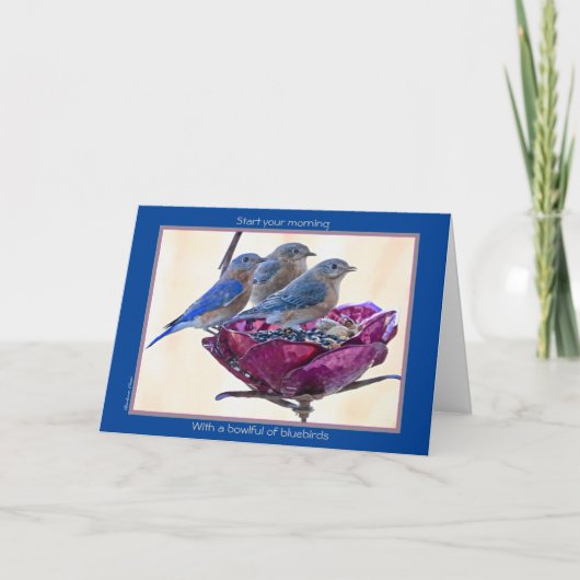 Happy BirdDay! Karte: Bowlful of bluebirds Card Karte (Vorderseite)