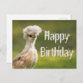 Happy BIrdday Polnisches Hühnchen Postkarte (Vorne/Hinten)