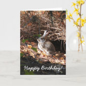 Happy Birhday Bunny Rabbit Grußkarte Karte (Gelbe Blume)