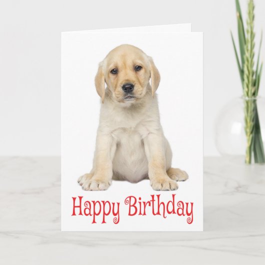 Happy Birthda Yellow Labrador Retriever Puppy Hund Karte (Vorderseite)