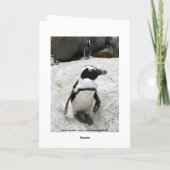 Happy Birthday African Penguins Card Karte (Rückseite)