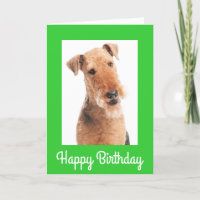 Happy Birthday Airedale Terrier Dog Grußkarte
