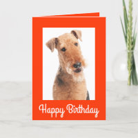 Happy Birthday Airedale Terrier Hund Grußkarte
