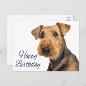 Happy Birthday Airedale Terrier Puppy Dog Blue Postkarte (Vorne/Hinten)