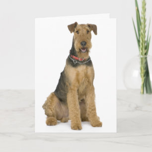 Happy Birthday Airedale Terrier Welpen Hundekarte Karte