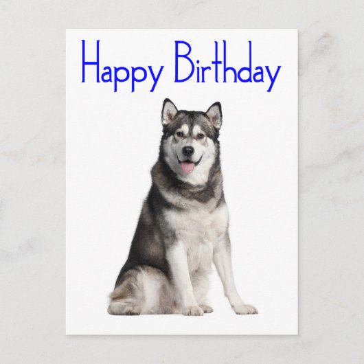 Happy Birthday Alaskan Malamute Puppy Dog Card Postkarte (Vorderseite)